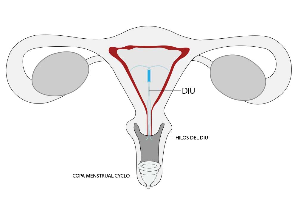 copa-menstrual-diu-blog-01